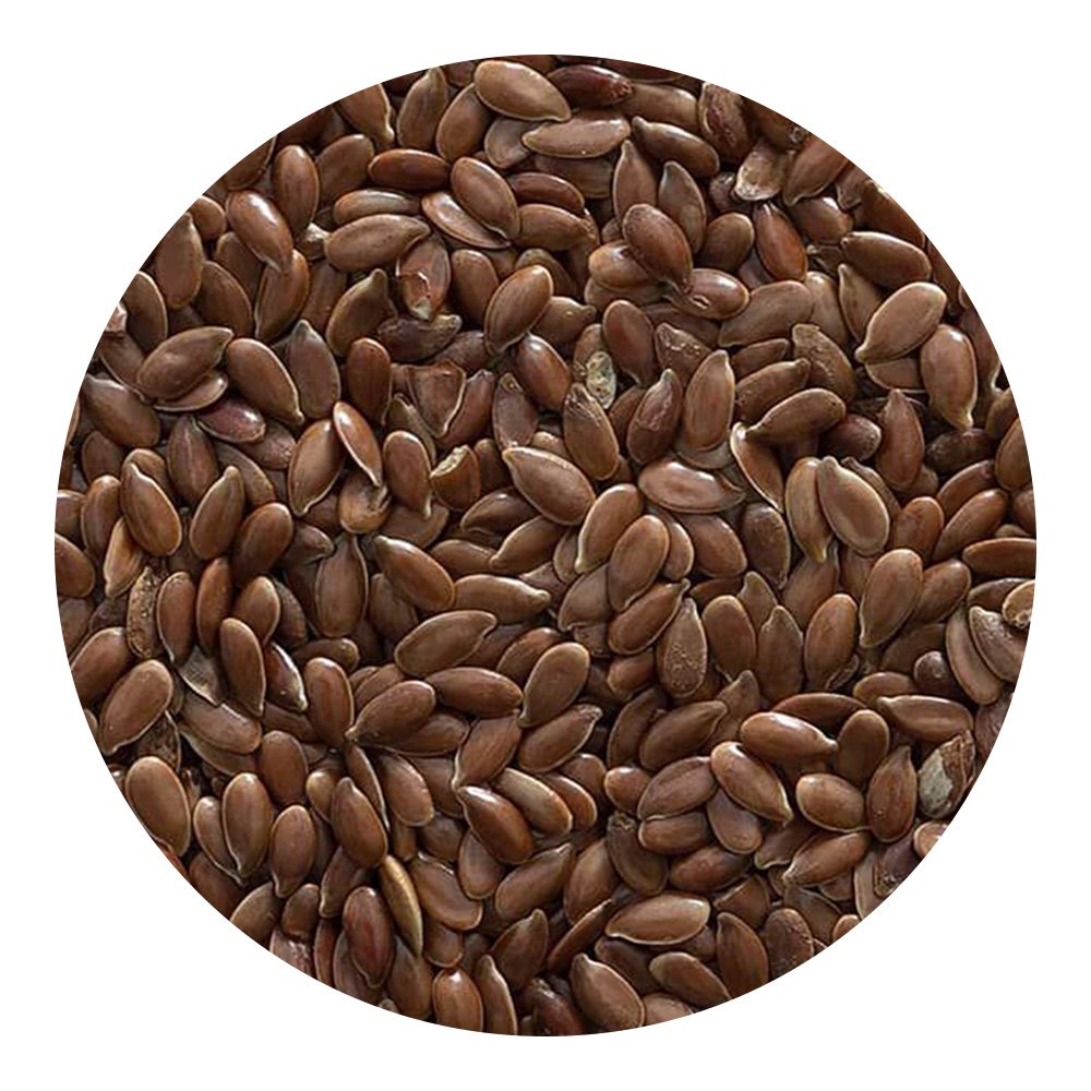 Environmentally Friendly Flax Seeds Rich in Lecithin Which Is Important for the Smooth Functioning of Our Brain